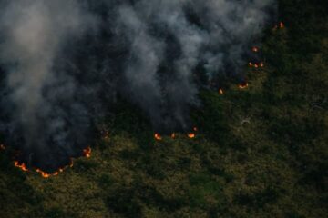 Em 2022, Brasil queimou o equivalente ao estado do Acre