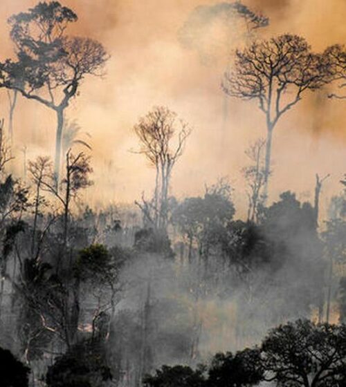 Amazônia tem maior número de queimadas em maio desde 2004