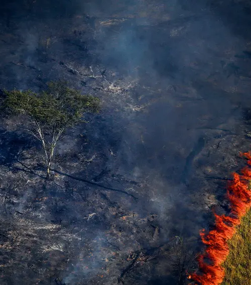 Amazônia tem mês de junho com maior número de queimadas dos últimos 15 anos