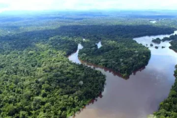 Amazonas é o primeiro estado do Brasil a adotar software Smart para monitoramento da biodiversidade