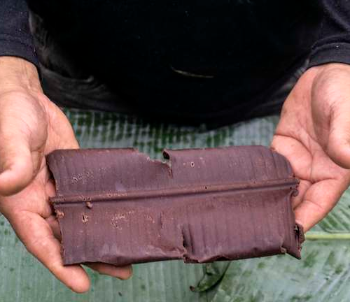Cacau gera renda para indígenas e chocolate produzido leva nome da etnia: Yanomami