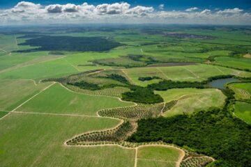 Implementação do Código Florestal é apontada como peça-chave para enfrentar crise climática no Brasil