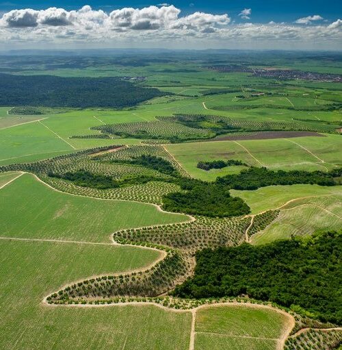 Código Florestal completa 10 anos no Brasil sem clima para comemorações