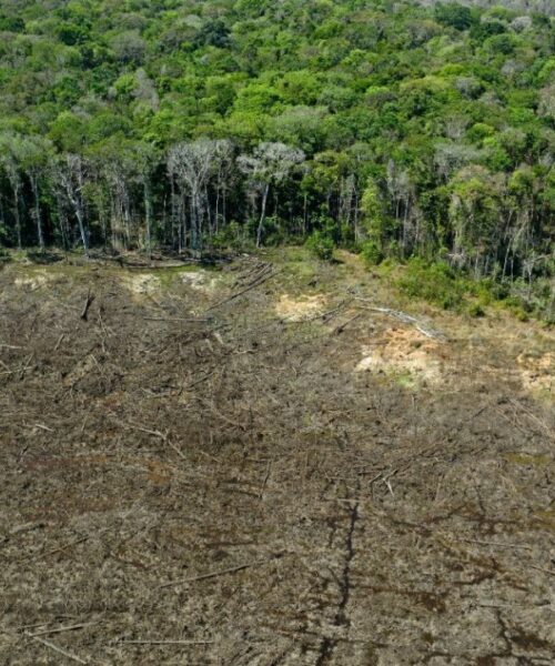Colômbia proporá fundo internacional para preservação da Amazônia