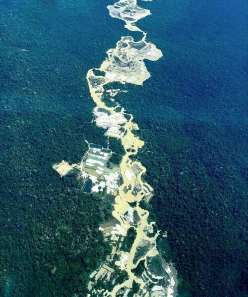 Confira imagens aéreas em áreas de garimpo ilegal no Pará