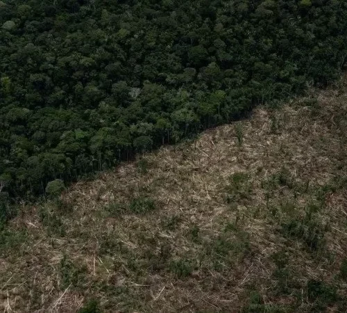 Dados do Inpe: Amazônia tem novo recorde de desmatamento em junho, o maior número desde 2016