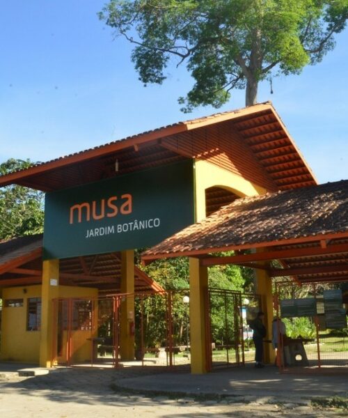 Em Manaus, Museu da Amazônia reabrirá Casa das Serpentes para visitação