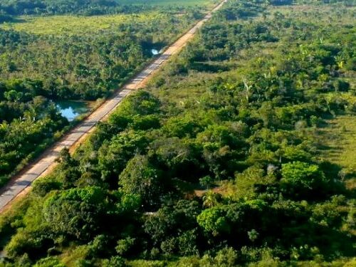 Estudo apresenta recomendações de infraestrutura terrestre na Amazônia