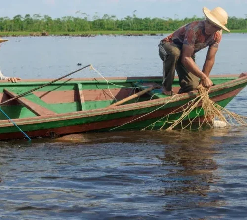 Evento virtual mostra protagonismo dos povos da floresta para bioeconomia inclusiva na Amazônia