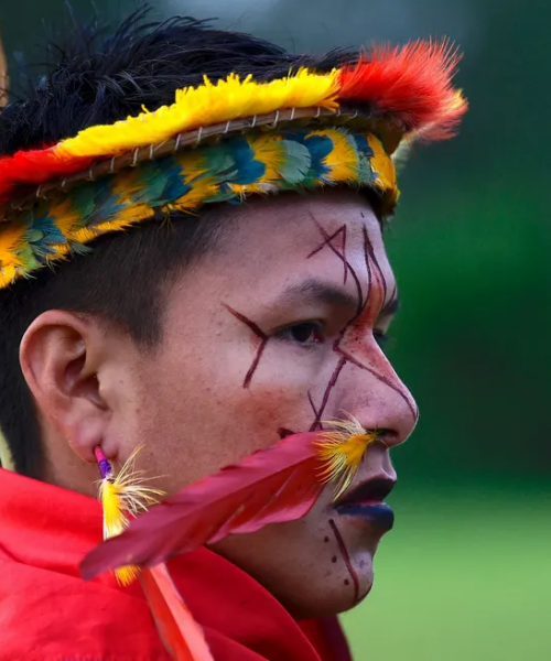 Guardas indígenas do Equador, um escudo contra os invasores da floresta amazônica