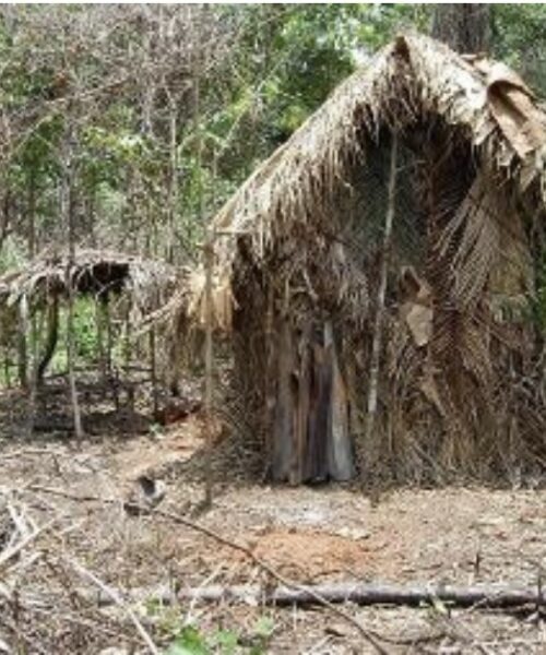 Indígena que vivia isolado há 26 anos é encontrado morto na Amazônia