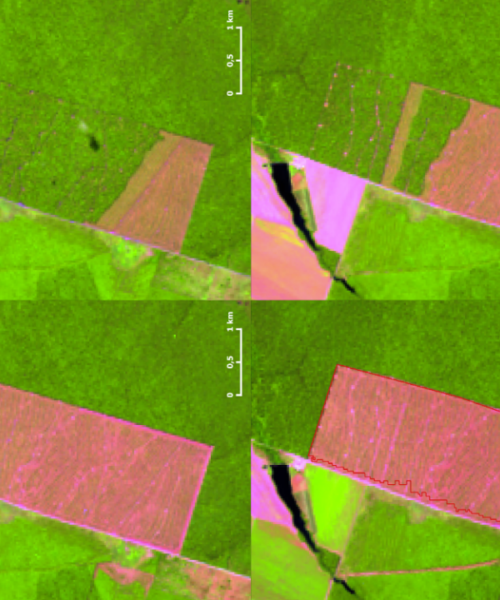 Judiciário permite punir desmatadores ilegais com usos de imagens de satélite na Amazônia