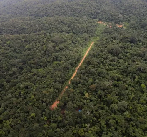 Mais de 1,2 pistas de pouso ilegais são utilizadas por garimpeiros na Amazônia