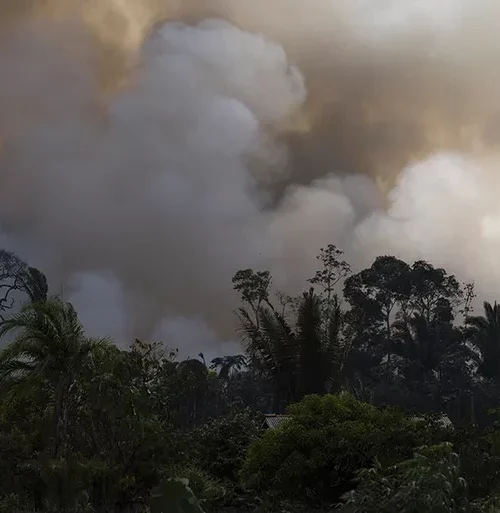 Mais de 1,4 km² de desmatamento na Amazônia são registrados em julho