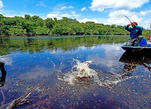 Manaus pode se tornar referência mundial em pesca esportiva