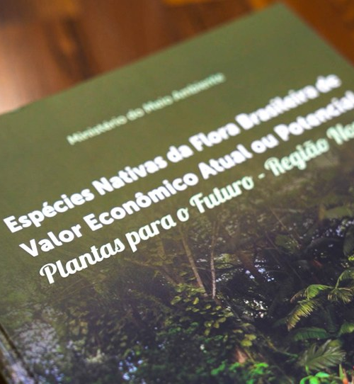 Livro apresenta espécies nativas com valor econômico da região Norte