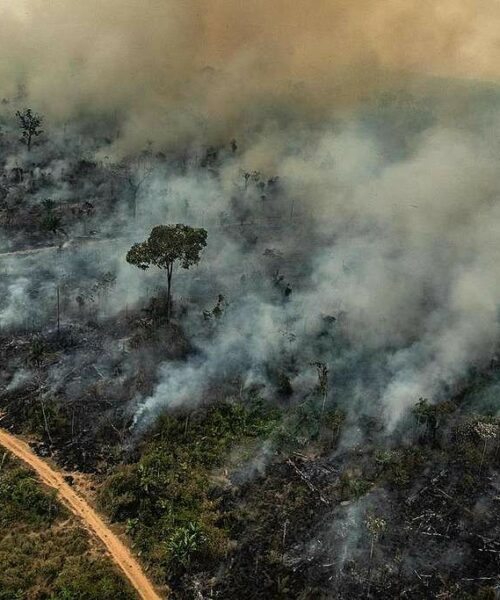 A Amazônia foi o bioma mais queimado nos dois primeiros meses do ano