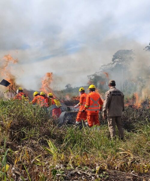 Prefeitura de Rio Branco apoia formação de brigadistas voluntários nas Áreas de Proteção Ambiental