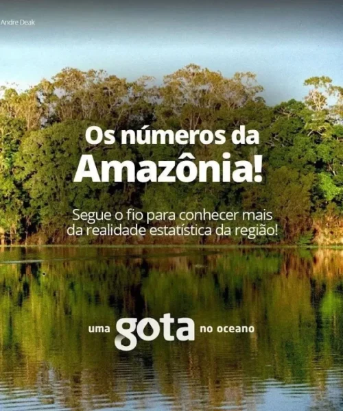 Publicação nas redes sociais traz números relevantes sobre a Amazônia
