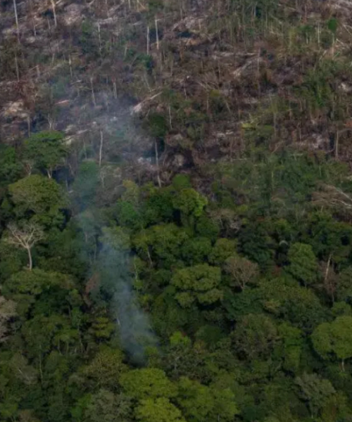 Se Brasil legalizar mais mineração na Amazônia, desmatamento aumentará, diz estudo