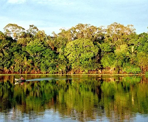 Sons da floresta são objeto de estudo da Nasa sobre saúde da Amazônia