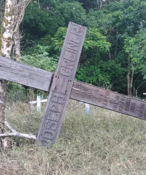 Cruz nazista fincada há 86 anos em sepultura na Amazônia é encontrada caída por turista