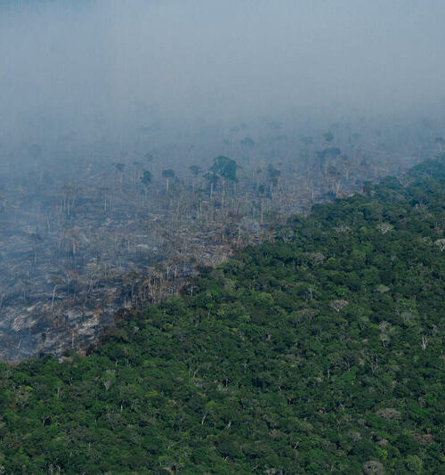 Monitor do Fogo revela aumento de área queimada em Roraima, de janeiro a abril