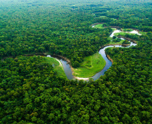 O que as pessoas pensam sobre a Amazônia na reta final da eleição