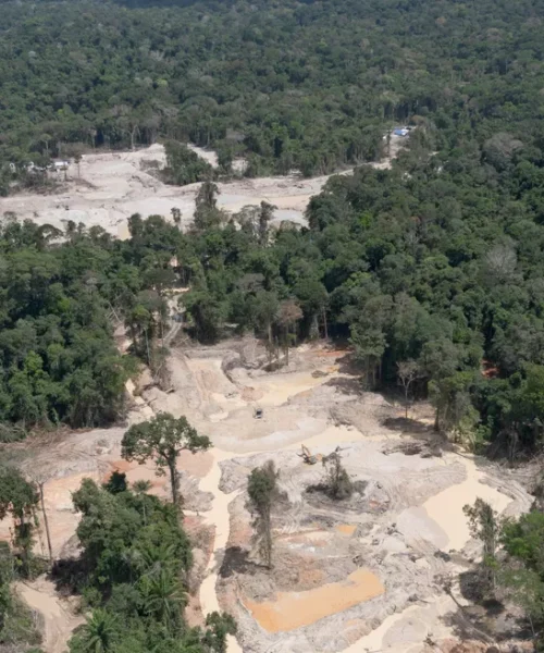 Amazônia concentra mais de 90% do garimpo no Brasil