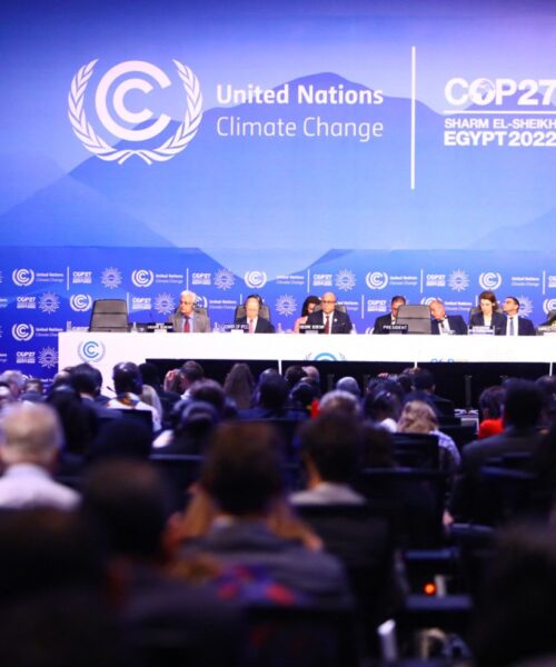 <strong>No Egito, líderes mundiais discutem o futuro do clima no planeta</strong>