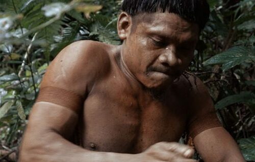 Filme que mostra expedição na Amazônia em busca de etnia isolada vence festival de cinema