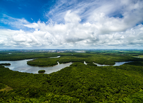 Governadores da Amazônia discutem, hoje, no Egito, desenvolvimento de baixa emissão de carbono