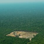 Alemanha retoma investimentos ao Fundo Amazônia