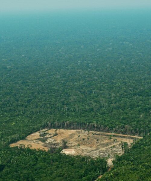 Alemanha retoma investimentos ao Fundo Amazônia