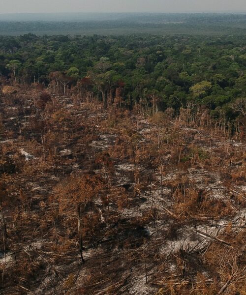 Alta do desmatamento é causa de maior emissão de gases de efeito estufa em quase duas décadas