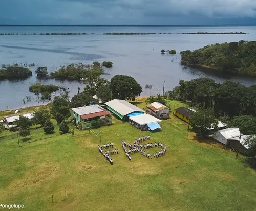 Fundação Amazônia abre 48 vagas de emprego e estágios na Amazônia