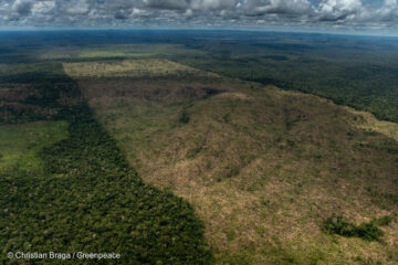 IPAM e Banco Mundial criam modelo que prevê desmatamento na Amazônia Legal