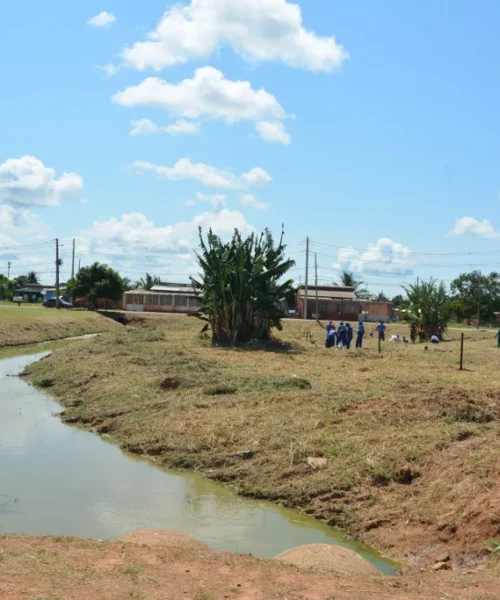 Prefeitura de Rio Branco inicia reflorestamento de 9 hectares de áreas de preservação