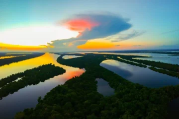Amazônia, Caatinga, Cerrado e Mata Atlântica estão entre as áreas prioritárias do planeta para ações de conservação e restauração de ecossistemas