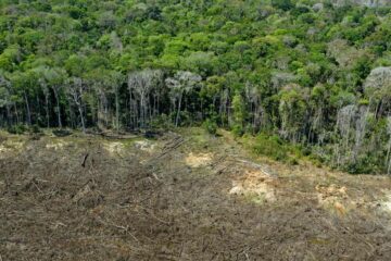 Como ocorre a degradação florestal na Amazônia?