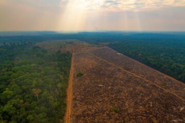 Projeto liderado pela ESA aponta que em 5 anos, a Amazônia perdeu 5 milhões de hectares de floresta