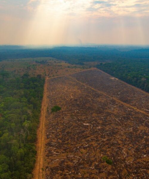 Projeto liderado pela ESA aponta que em 5 anos, a Amazônia perdeu 5 milhões de hectares de floresta