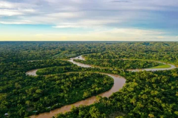 Contagem regressiva para uma urgente guinada na agenda ambiental para a Amazônia