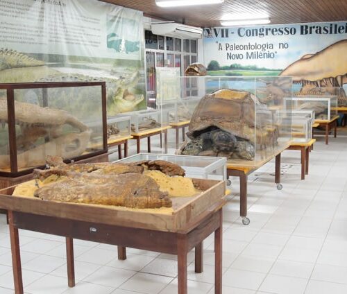 Laboratório de Paleontologia da Ufac receberá R$ 475 mil do Conselho Nacional de Pesquisa