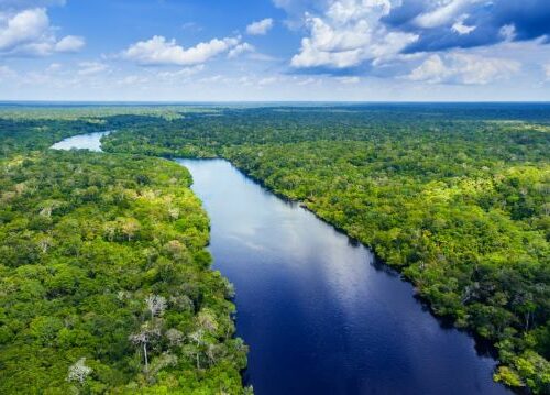 Meta é desmatamento zero na Amazônia e emissão zero de gases, diz o presidente Lula em sua posse