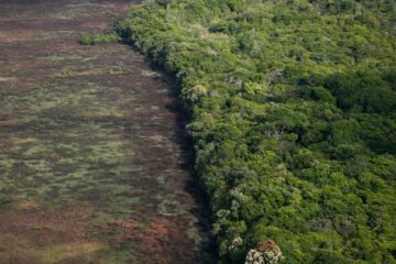 Desmatamento na Amazônia tem queda em janeiro, segundo Inpe