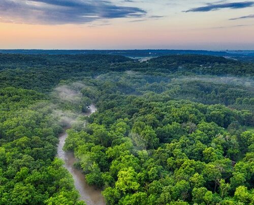 Presidente alemão anuncia investimento de 35 milhões de euros para o Fundo Amazônia