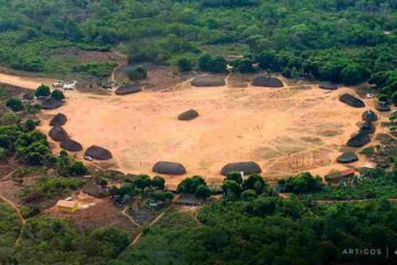 Estudo indica que formalização de terras indígenas aumenta o reflorestamento