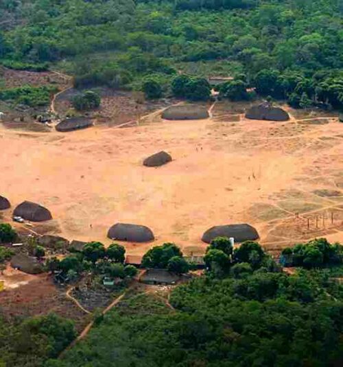 Estudo indica que formalização de terras indígenas aumenta o reflorestamento