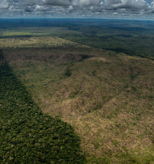 Prioridade do Ibama é fiscalizar terras indígenas na Amazônia, diz novo presidente